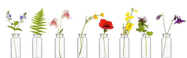 Fleur de bach sommeil couverture