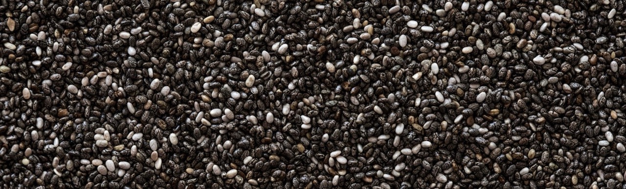 Graine de chia