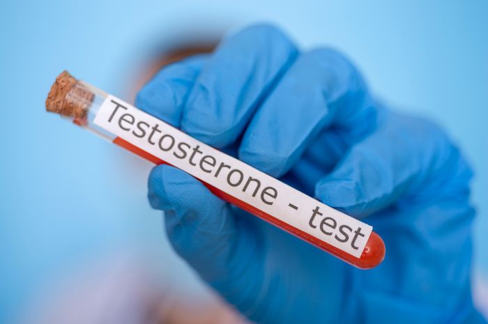 Durée andropause testostérone